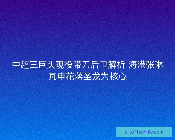 中超三巨头现役带刀后卫解析 海港张琳芃申花蒋圣龙为核心